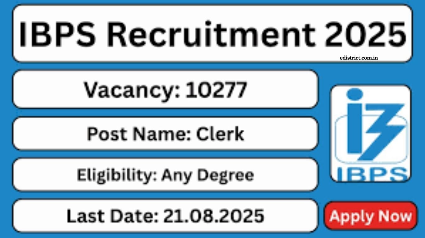 IBPS Clerk 2025 Notification